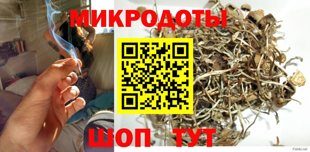 Галлюциногенные грибы GOLDEN TEACHER  Вход с VPN  Псилоцибиновые грибы Cubensis  Анапа 