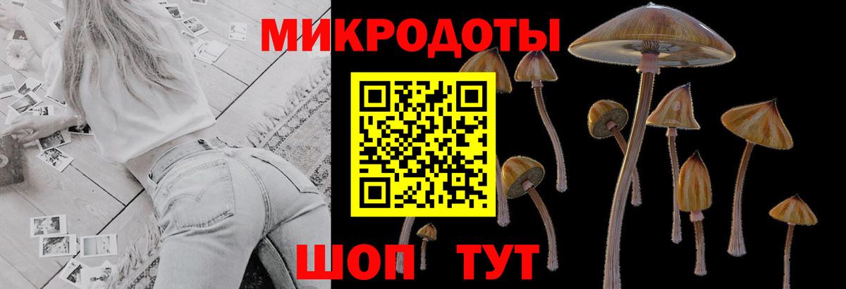 Псилоцибиновые грибы Psilocybe Анапа